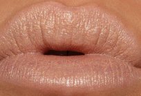 Lipstick beige: suitable for, photos. How to choose a beige lipstick