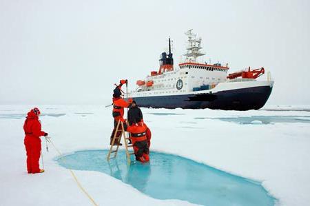 działalność państw rady arktycznej