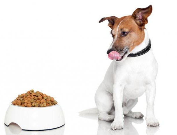 biomill el alimento para perros de los clientes
