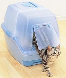 indoor toilet for cats reviews