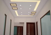 El diseño de los techos de paneles de yeso: foto de opciones para diferentes salas de