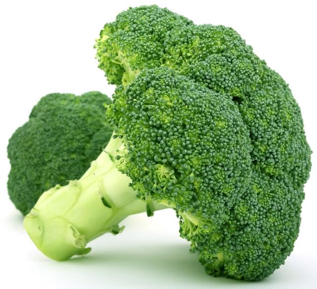 variety of broccoli
