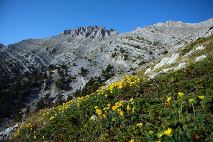 最高峰为奥林匹斯山，希腊