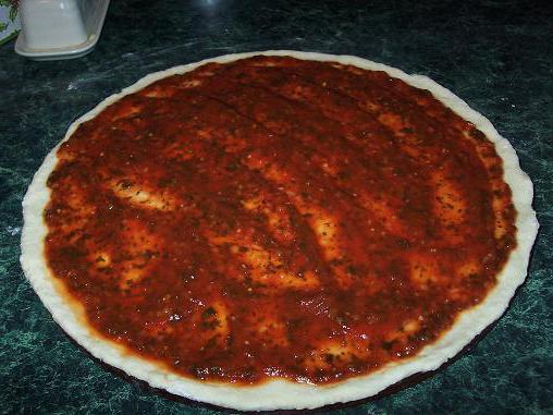 la salsa para la pizza de pasta de tomate y la mayonesa