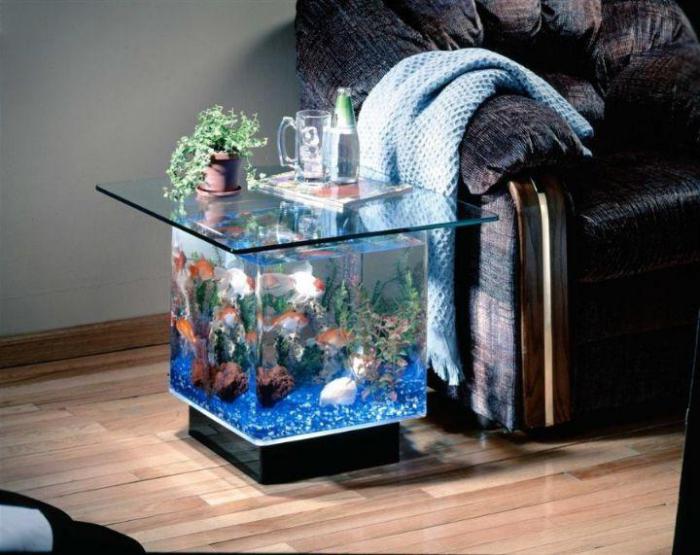kleines Aquarium