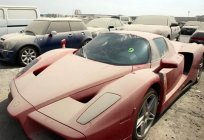 Ferrari Enzo: фото, характеристики