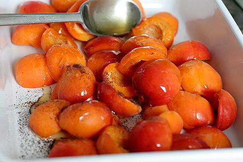 Gerichte mit Aprikosen Rezept mit Foto