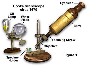 who invented the primitive microscope