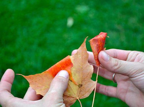 otoño ramo de la mano de los materiales con sus propias manos