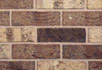Zabudovani bricks: types, features, specifications