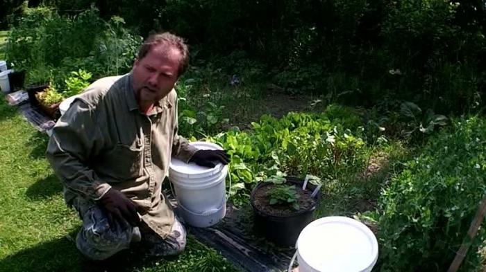 how to make fertilizer from nettles