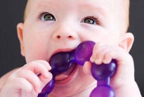 how babies' teeth are cut