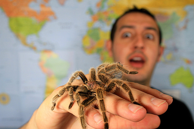 Strach u człowieka pająka
