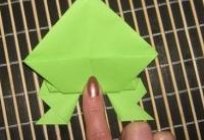经验教训折纸：如何使一只青蛙的纸
