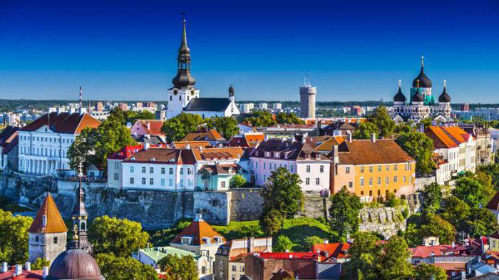 wo man in Tallinn