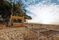Kiwengwa Beach Resort 5* (Tanzania, Zanzibar): opis pokoi, serwis, opinie