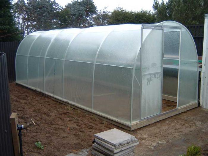 greenhouse Uralochka