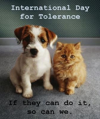 international day for tolerance pictures