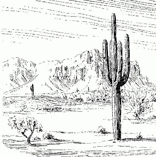 how to draw a desert pencil