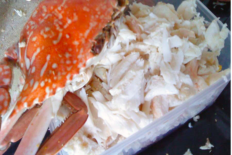 crab meat