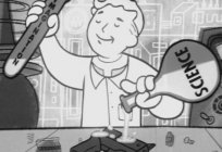 Computer game Fallout 4: character creation (recommendations gamers)