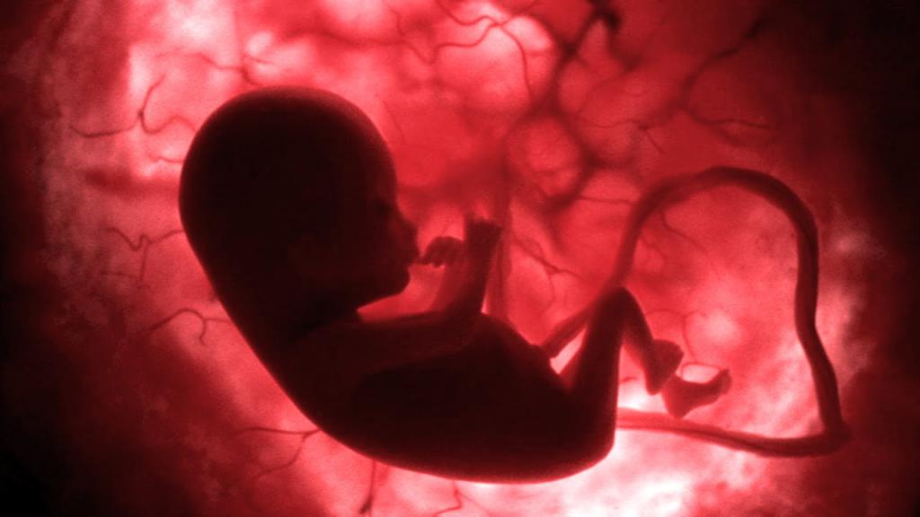 child in utero