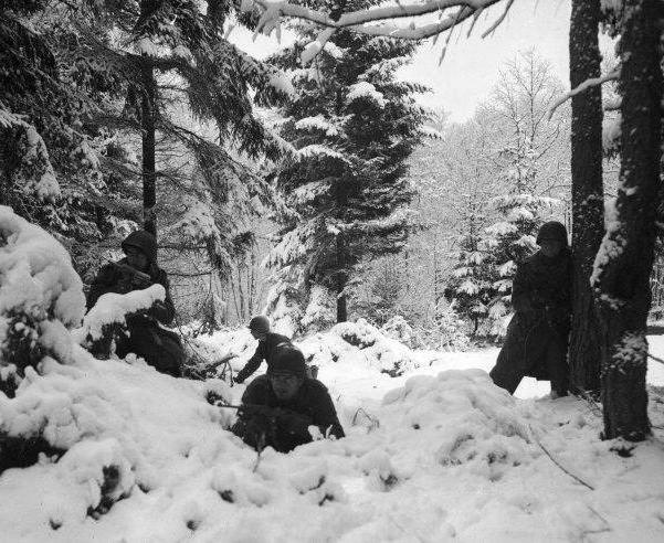 的Ardennes森林第二次世界大战
