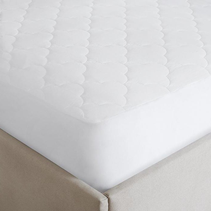 Statoblast mattress reviews