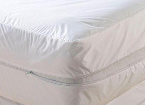Statoblast mattress