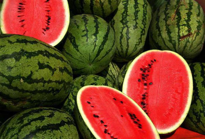 Wassermelone stillende
