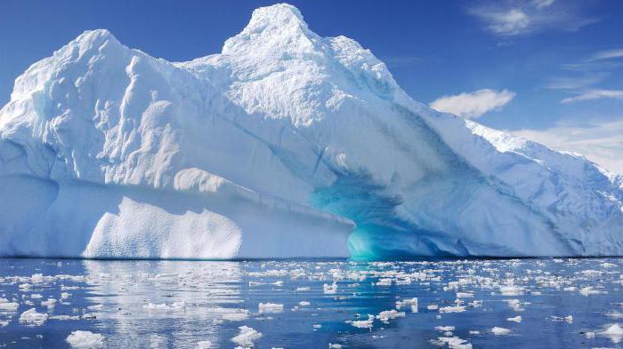 o que significa o nome antártica