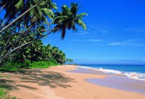 Ob Urlaub in Goa im Februar?