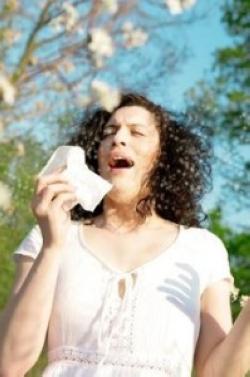 die Symptome der Allergie auf die Cottonwood Flusen