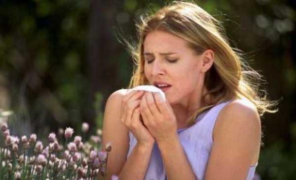 Alergia na puch