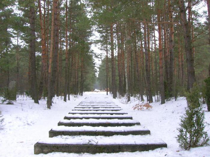 das Konzentrationslager Treblinka