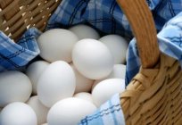 Леггорн - raça de galinhas de alta produção de ovos