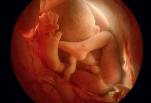 The baby in the womb often hiccups