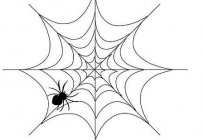 Çizmek için nasıl örümcek ağı güzel?