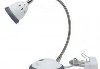 Led Desk lamp with dimmer: feedback on the models