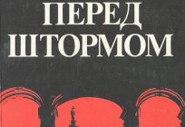 Ардаматский Василь Іванович: біографія, книги
