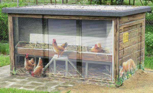 the size of chicken coop for 20 chickens