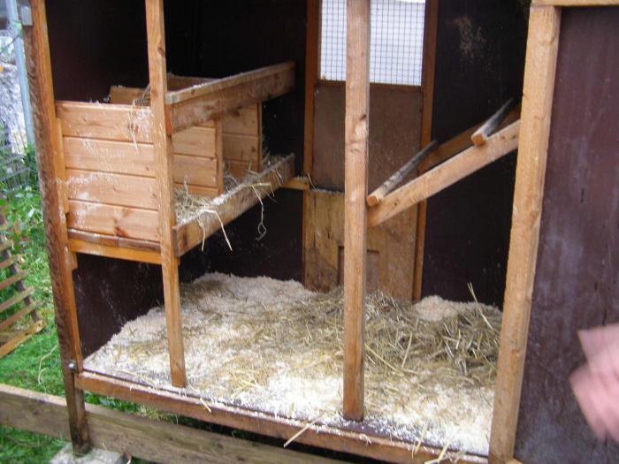 chicken coop for laying hens