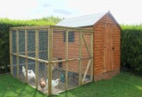 Chicken coop for 20 chickens with their hands. How to build a warm chicken coop