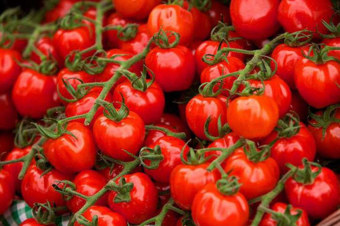 iyot gibi bitkiler için gübre domates