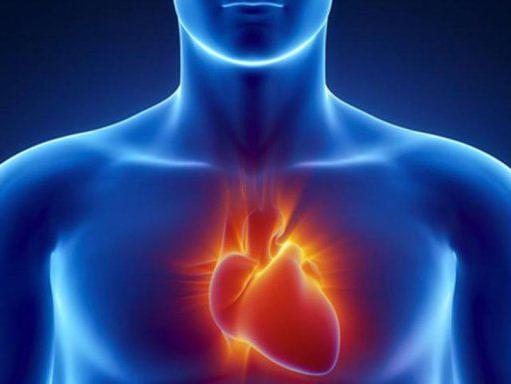 心跳停止心脏的它是什么
