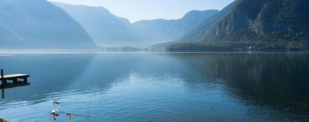 的湖泊，奥地利的照片
