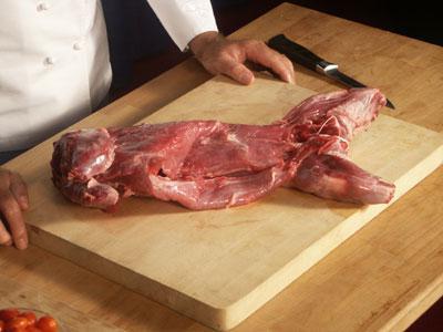 mięso nutrii korzyści i szkody