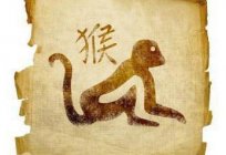 Tauro-el Mono (hombre): característica y la compatibilidad con otros signos