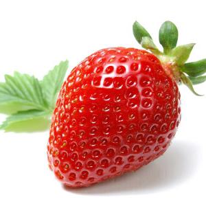 Erdbeeren aus Samen