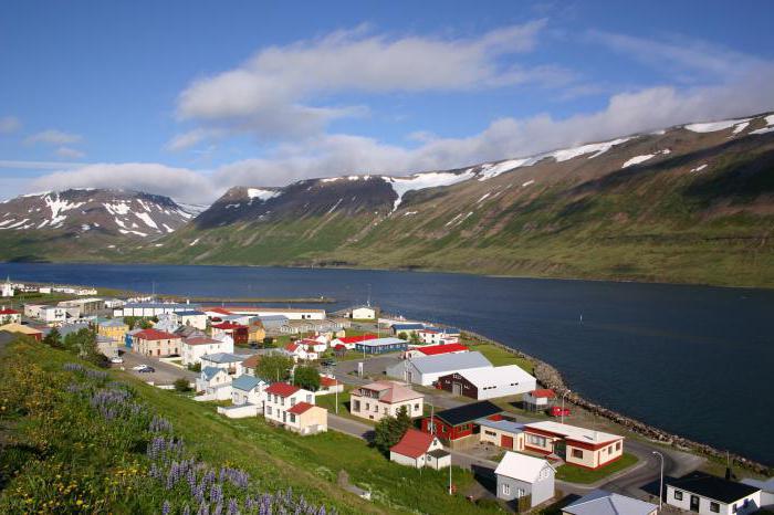 的区域的小岛冰岛